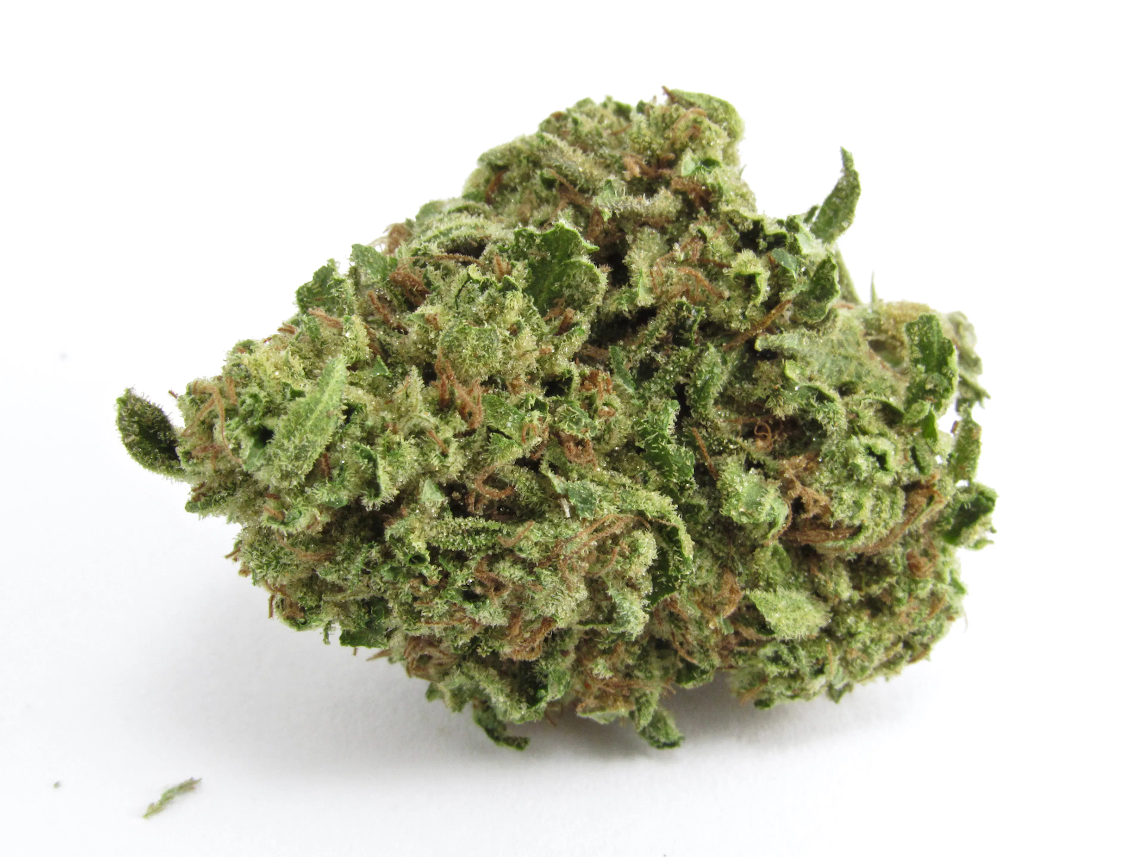 Picture of Chemdog #4 x Alien OG Kush