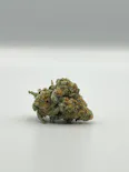 Toasted Toffee (H) Low Shelf Bud - Mischief by NOBO