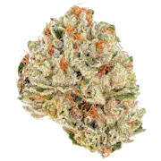 Nug image for Sour Kush