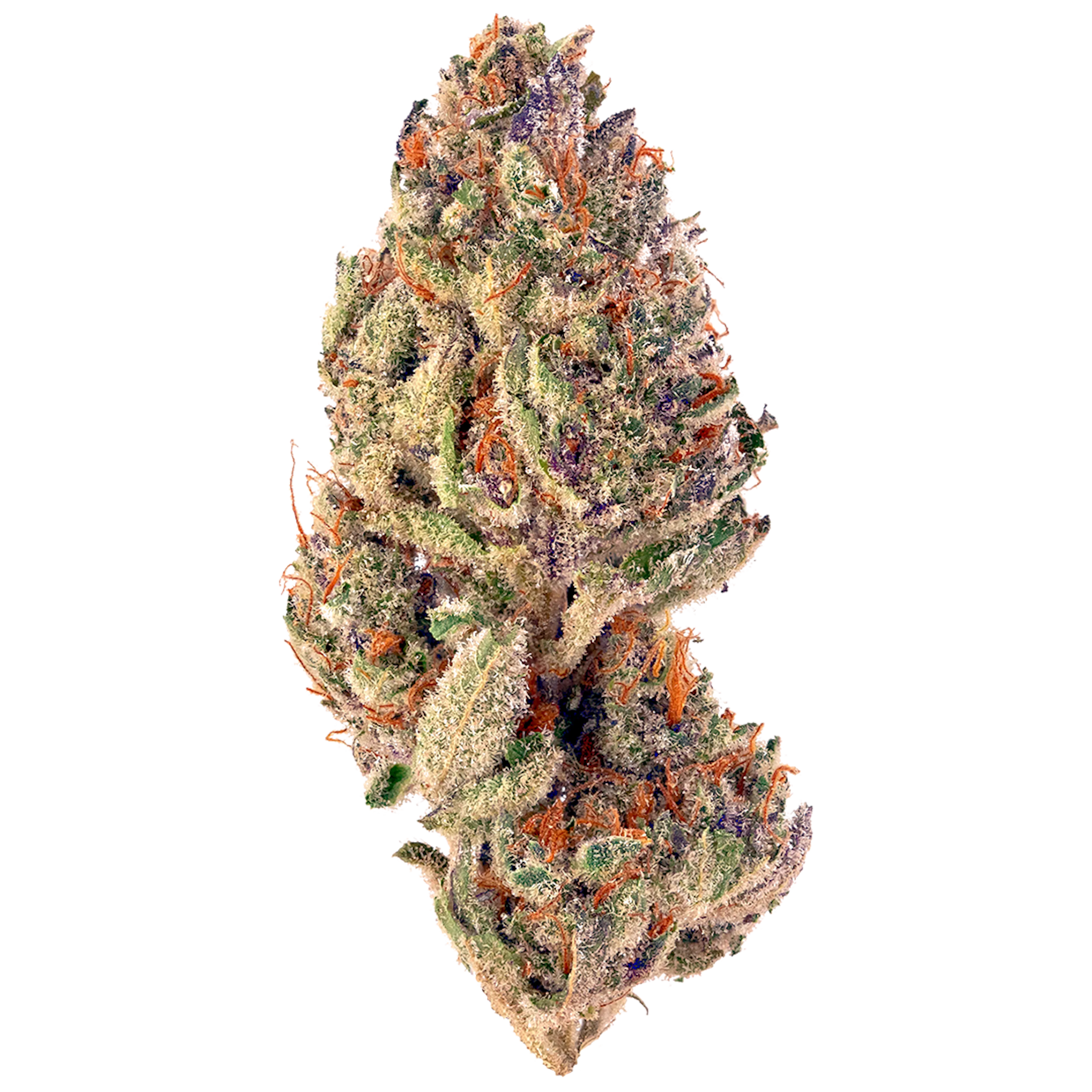 Picture of Tropicana Cookies