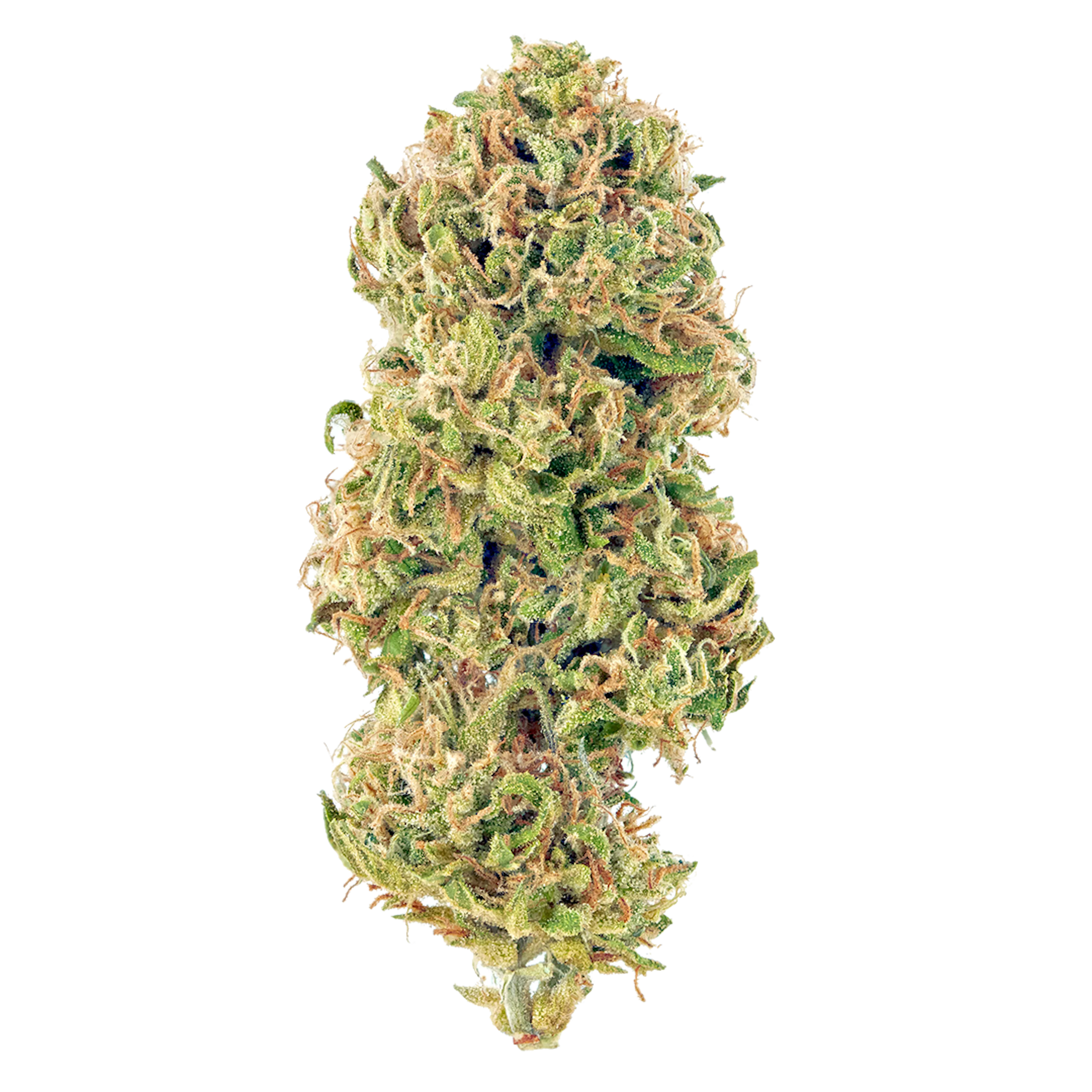 Picture of Huckleberry