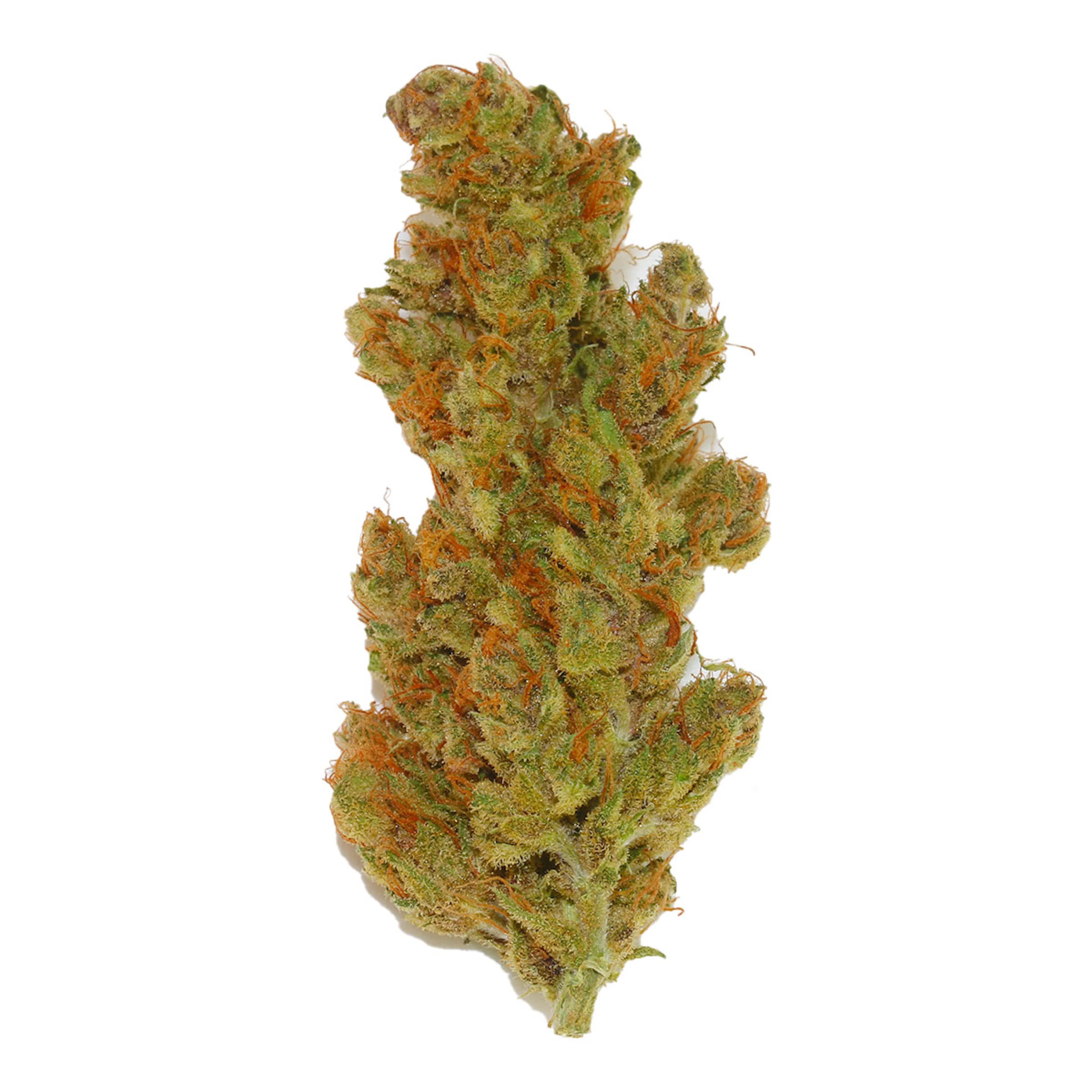 Picture of Purple Punch OG