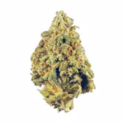 Nug image for 9 lb Hammer