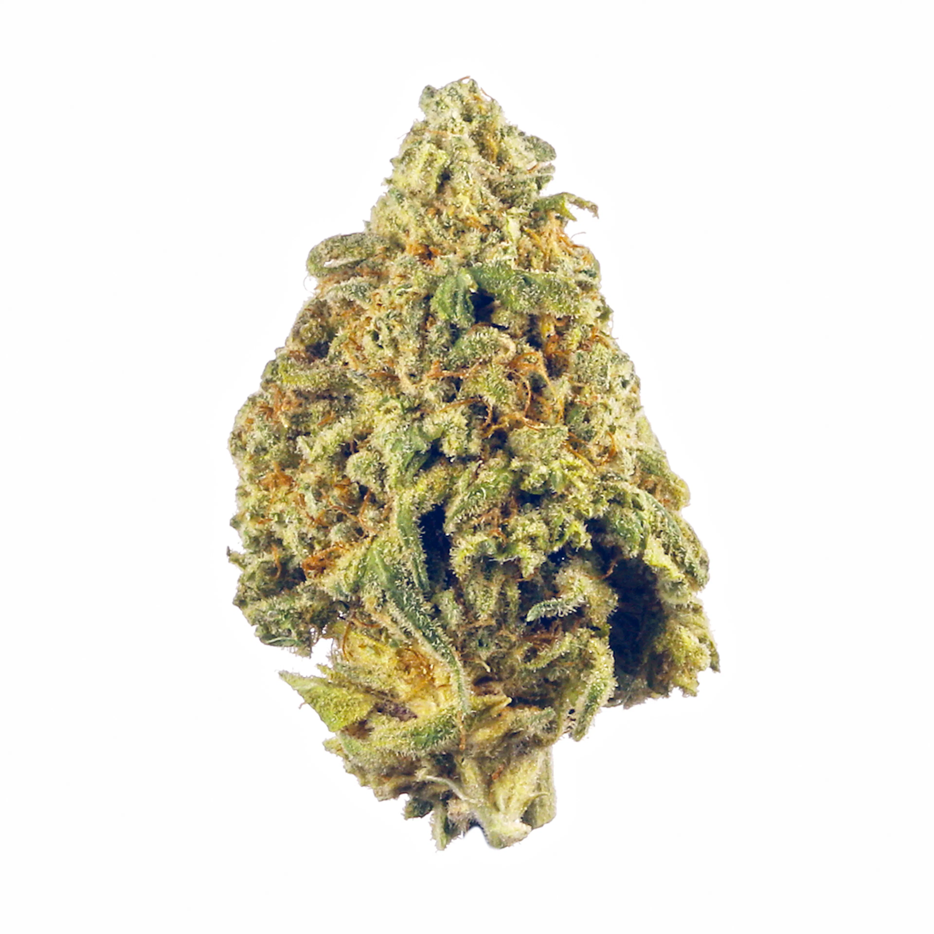 Picture of 9 lb Hammer