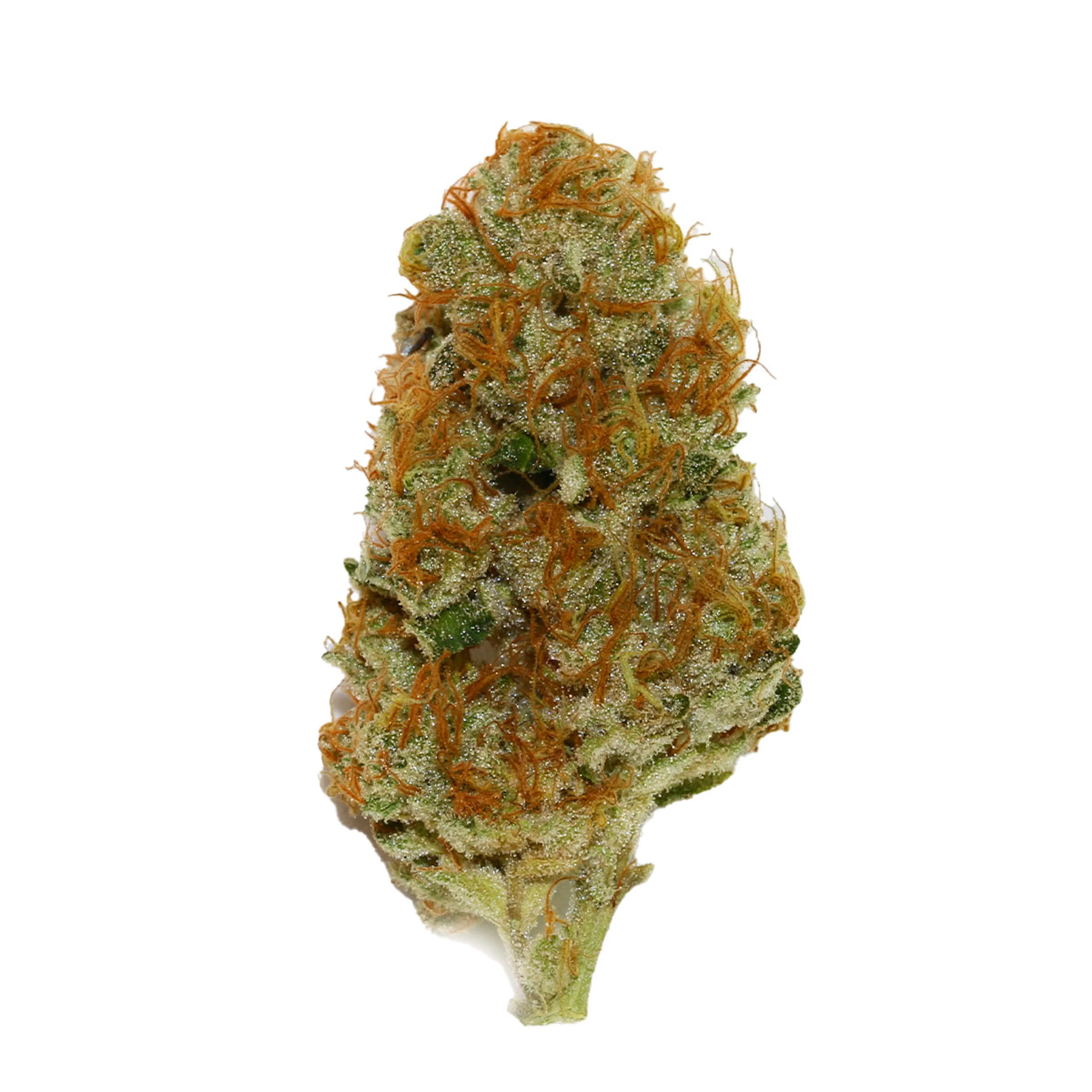 Picture of Cream Caramel