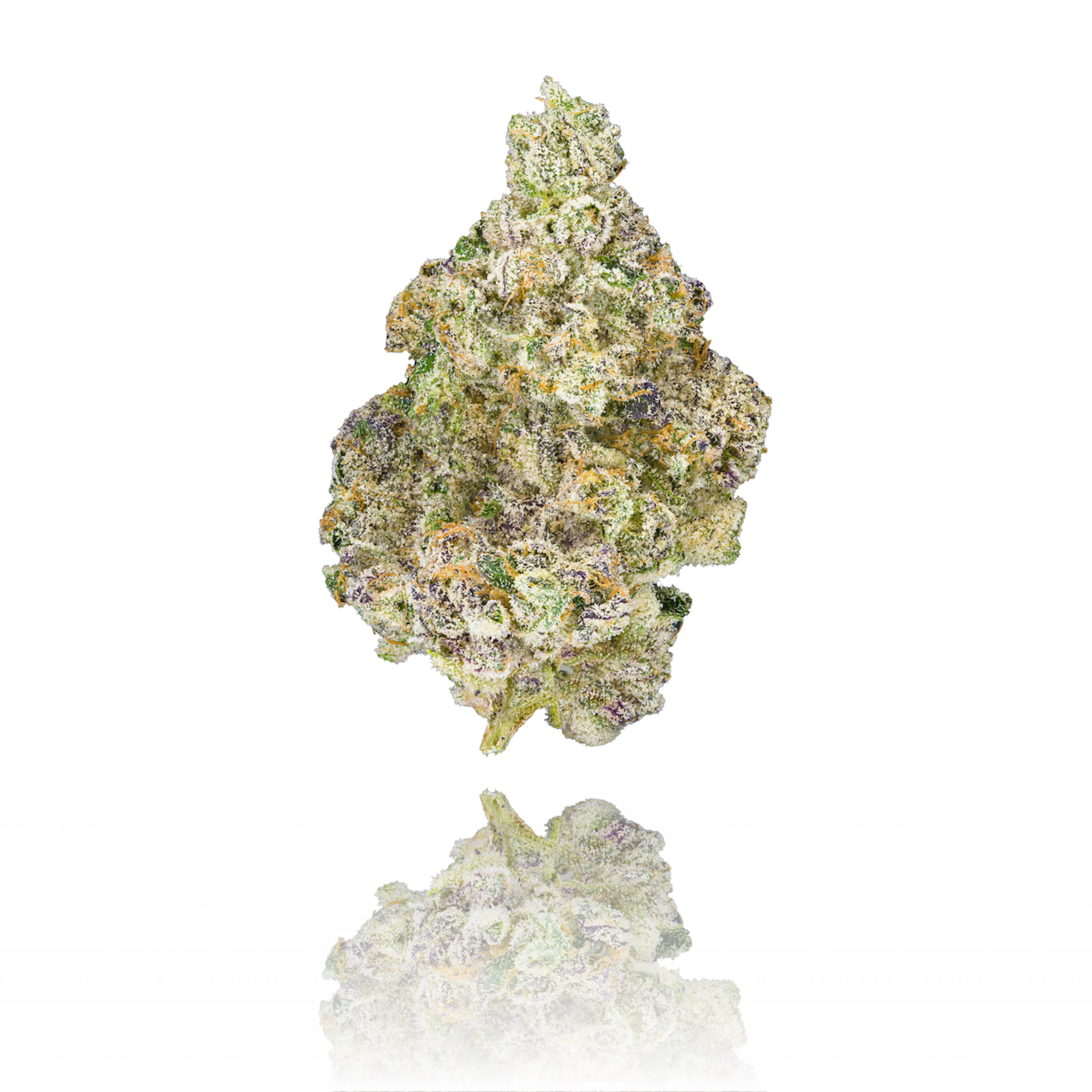 Picture of Paradiso