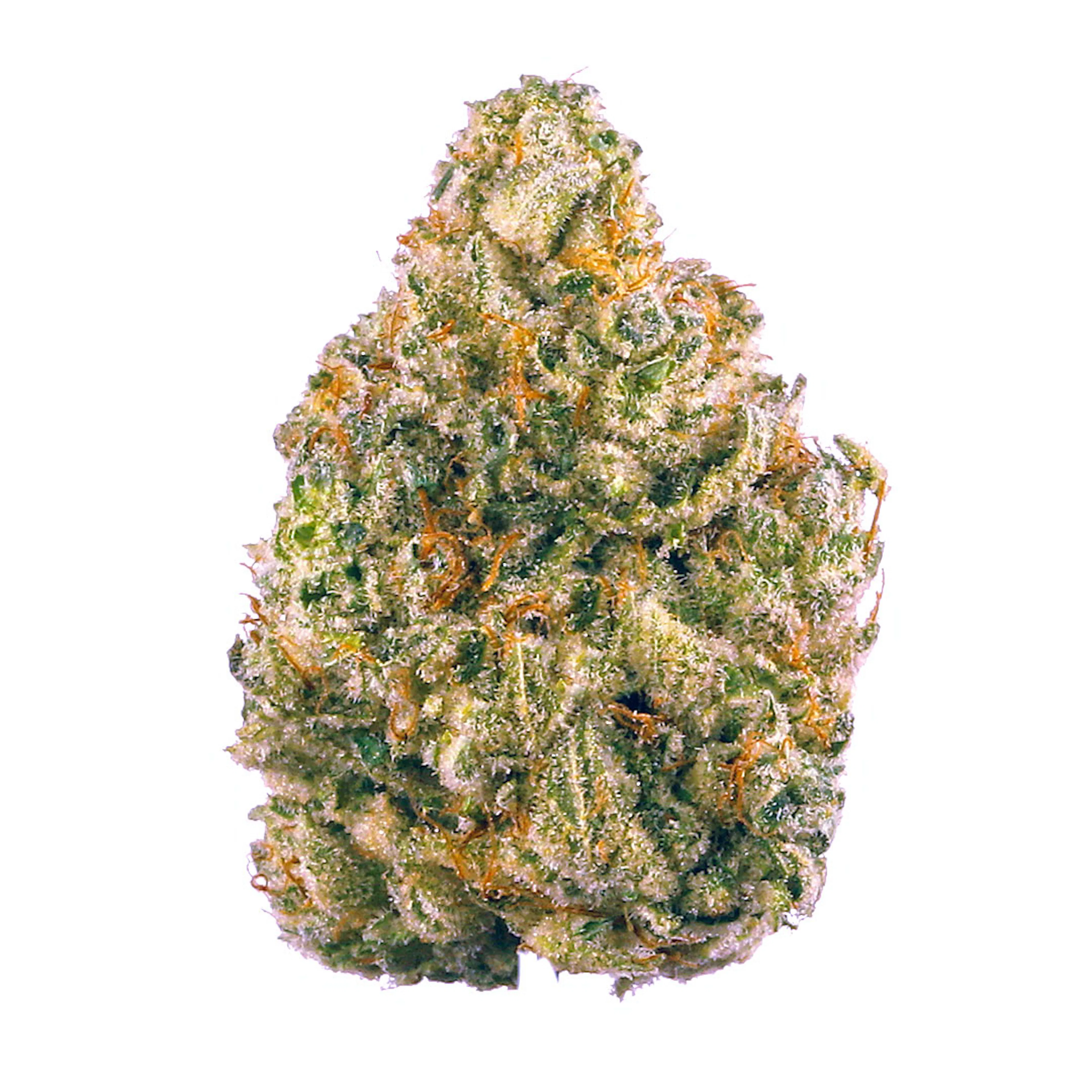 Picture of GG1