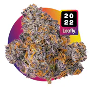 Nug image for Jealousy