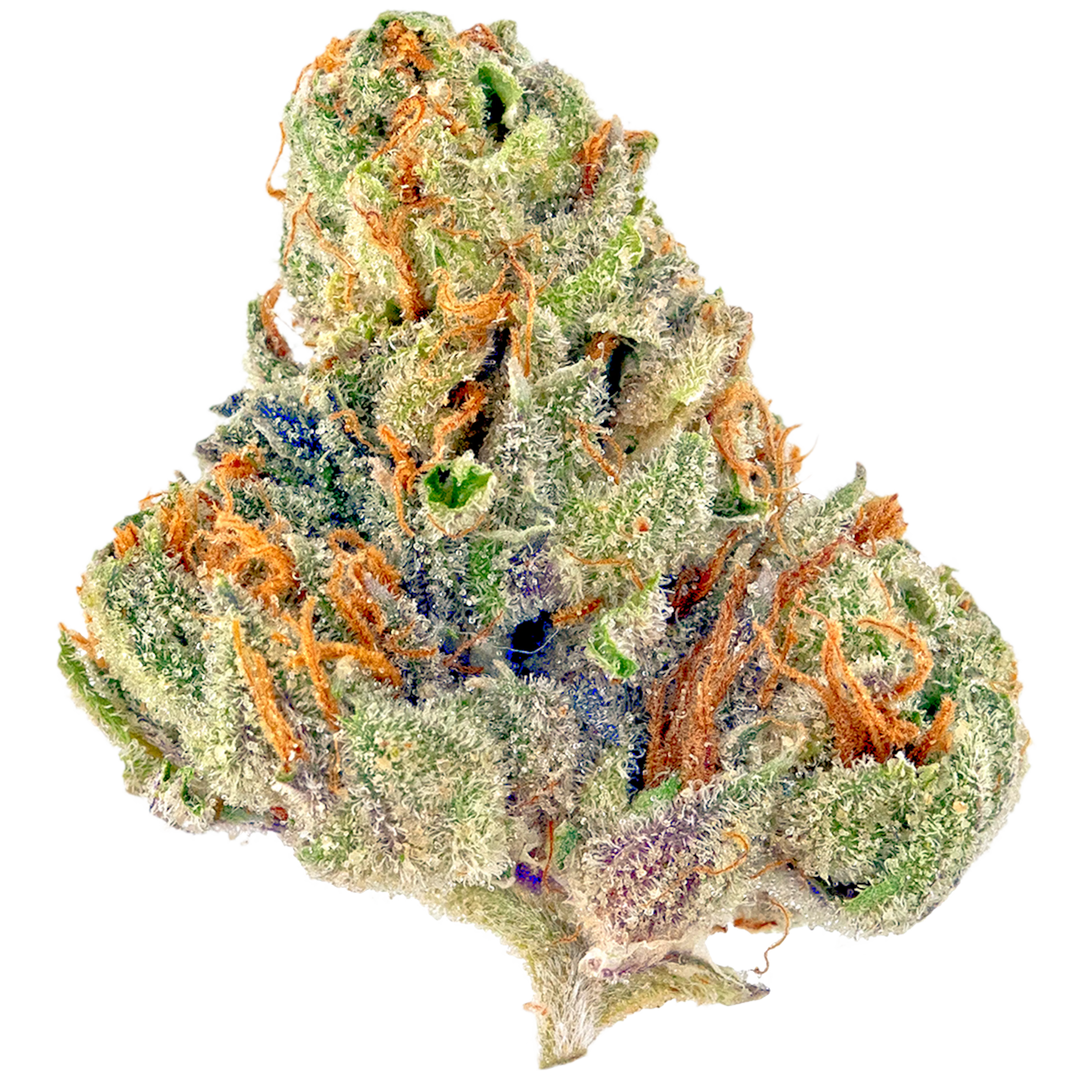 Picture of Tahoe OG