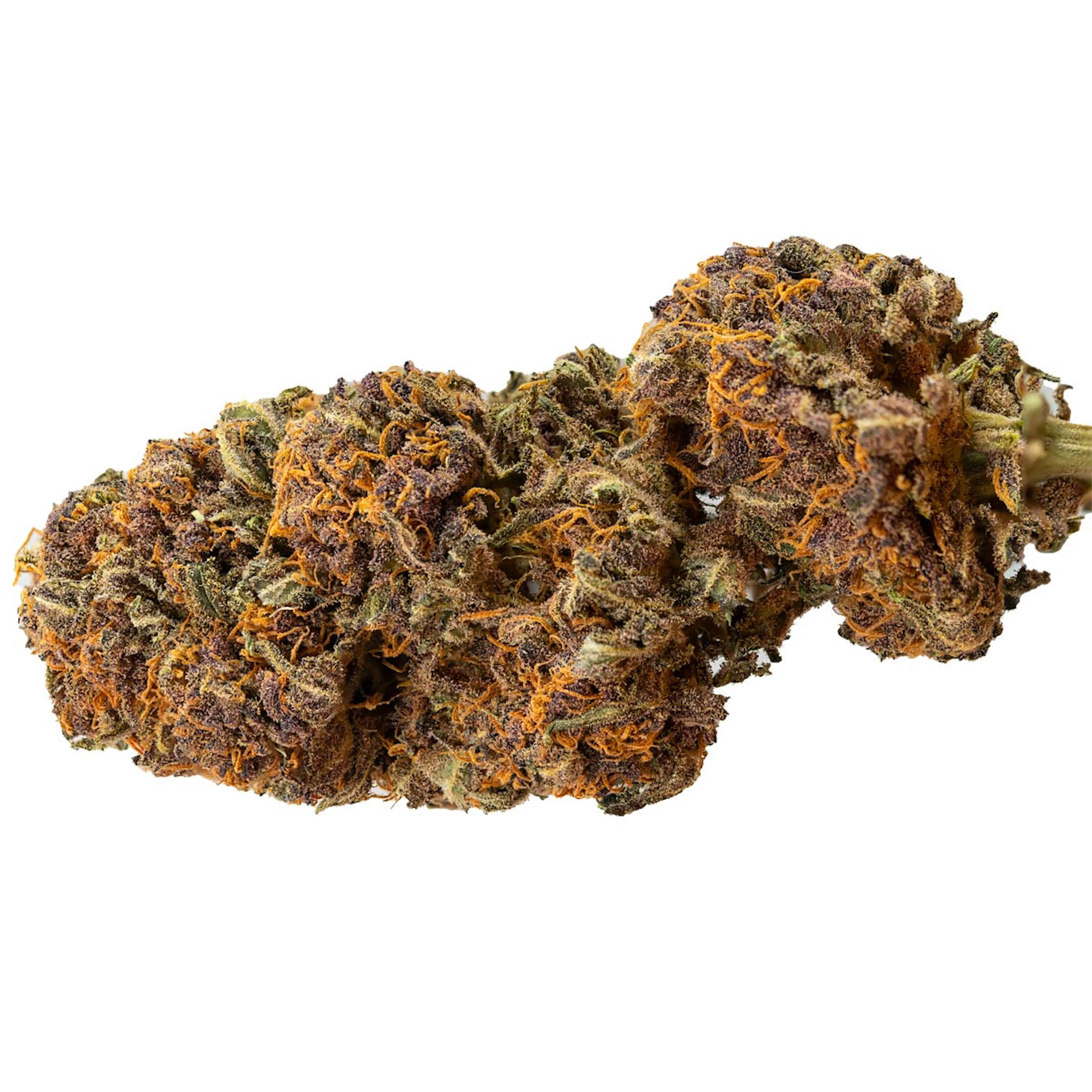 Picture of Diablo Rojo XL Auto