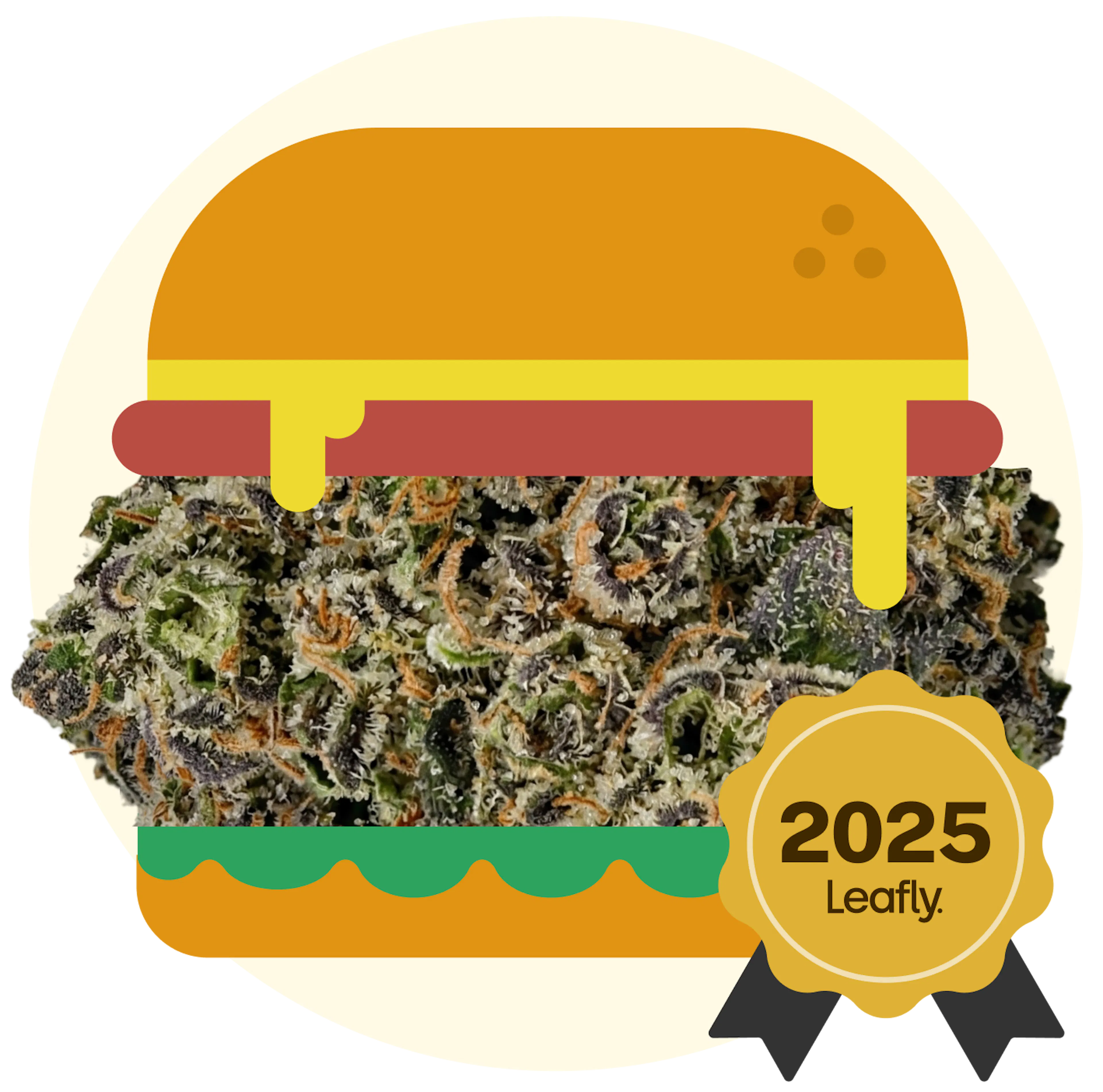 Picture of Hash Burger