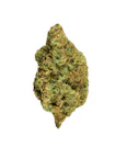 STA Exotics | Jack Boro #5 | Sativa | 3.5G