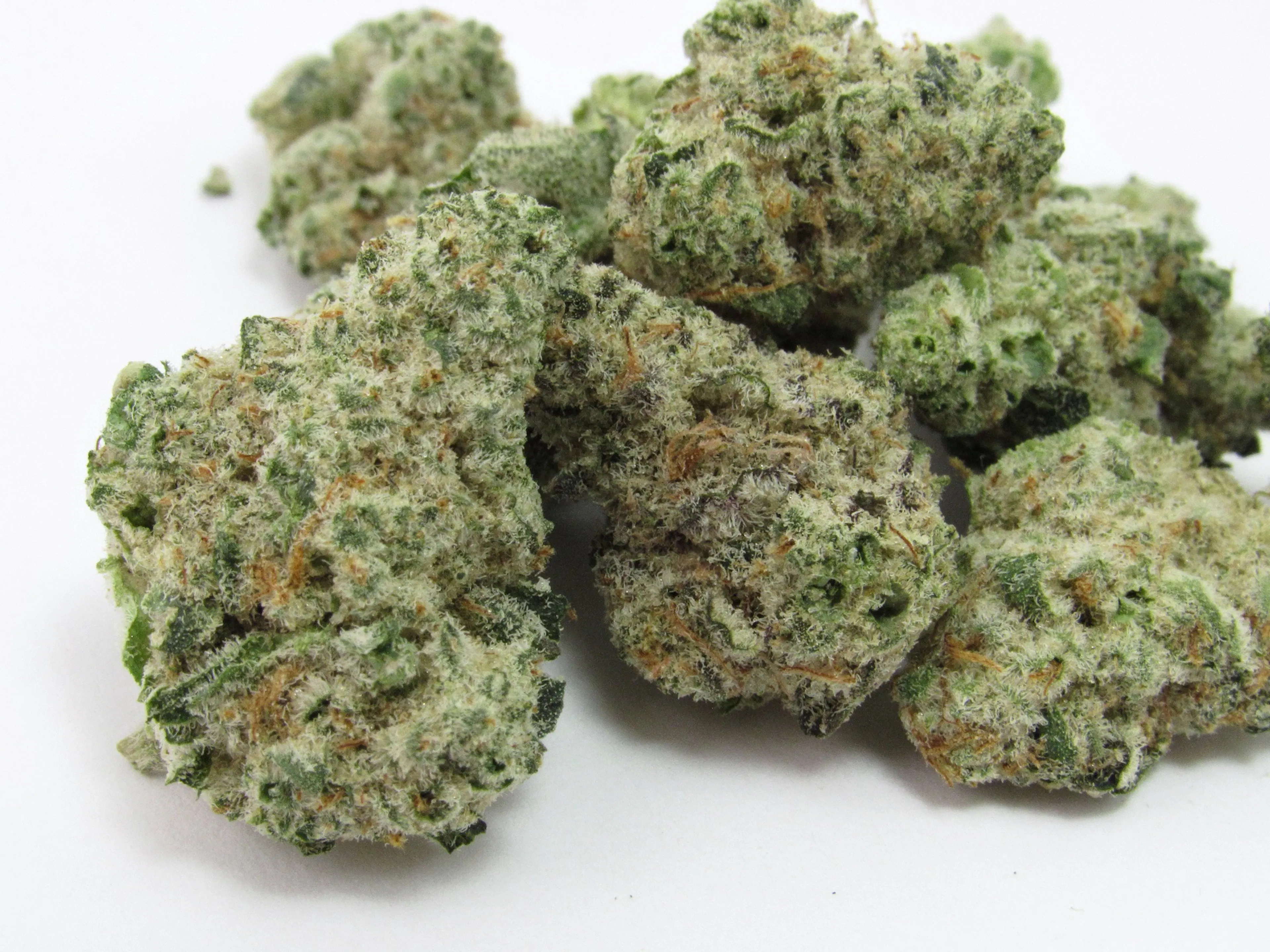 Picture of Mango Fruz