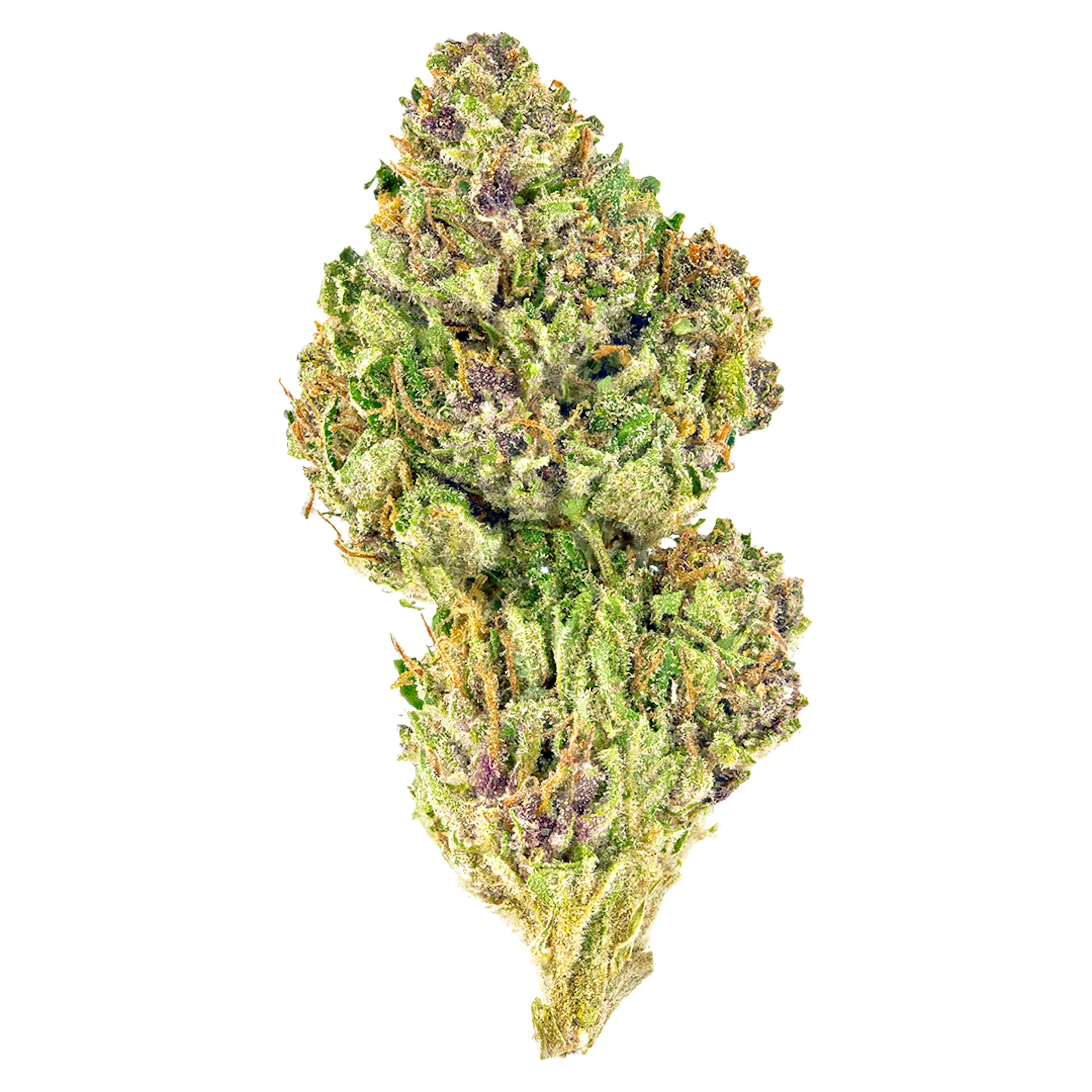 Picture of Pink Kush
