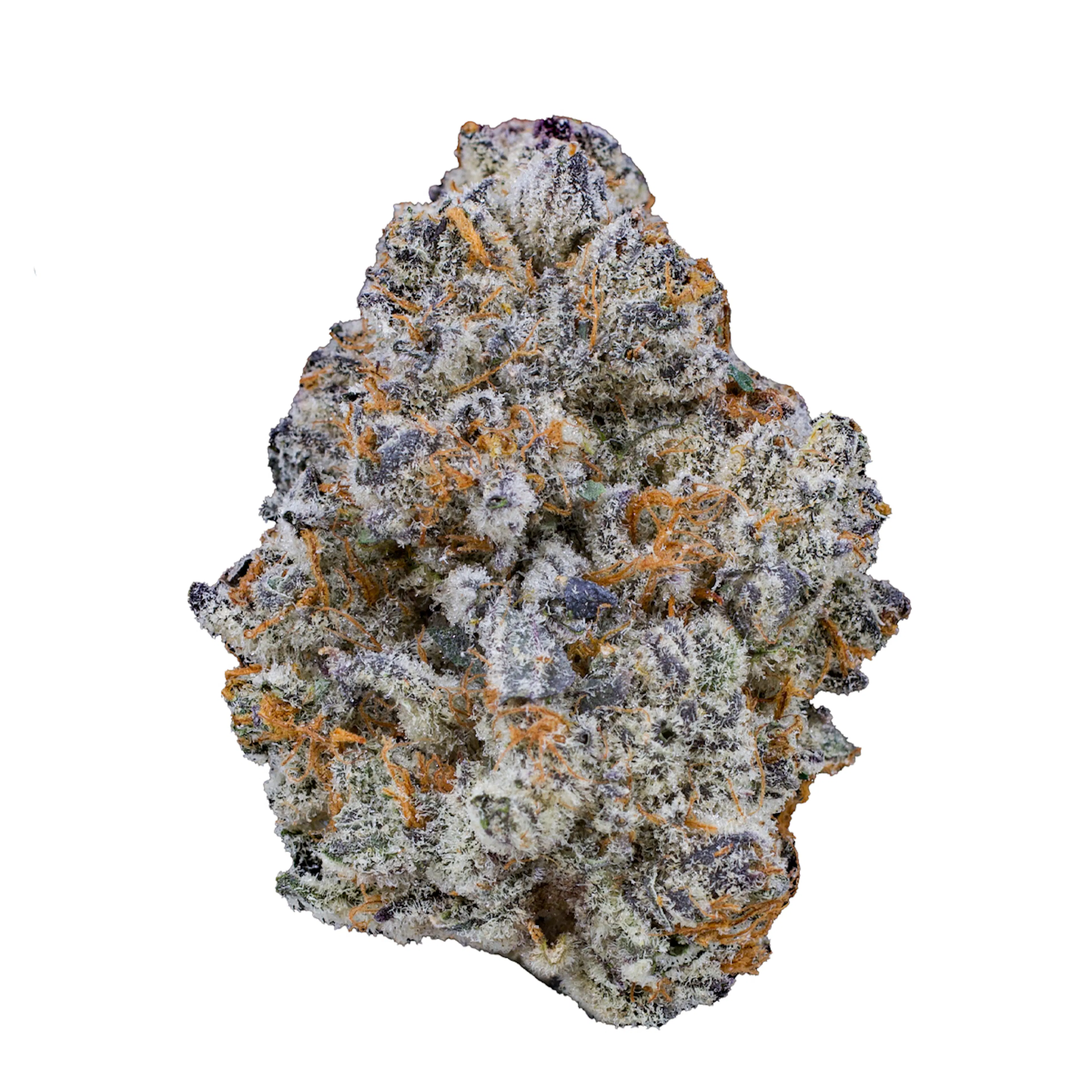 Picture of Blue Cookies