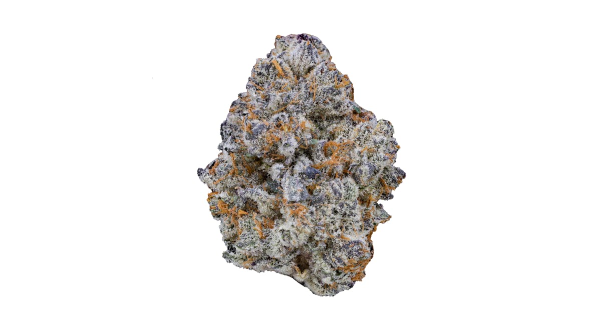 Blue Cookies archive 0