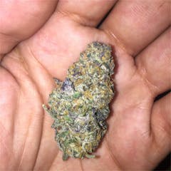 User uploaded image of $100 OG