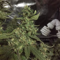 User uploaded image of 1024