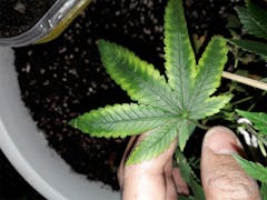 User uploaded image of 1024