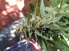 User uploaded image of 1024