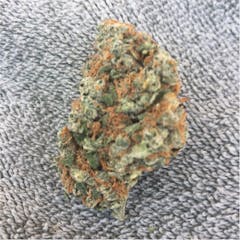 User uploaded image of 1024