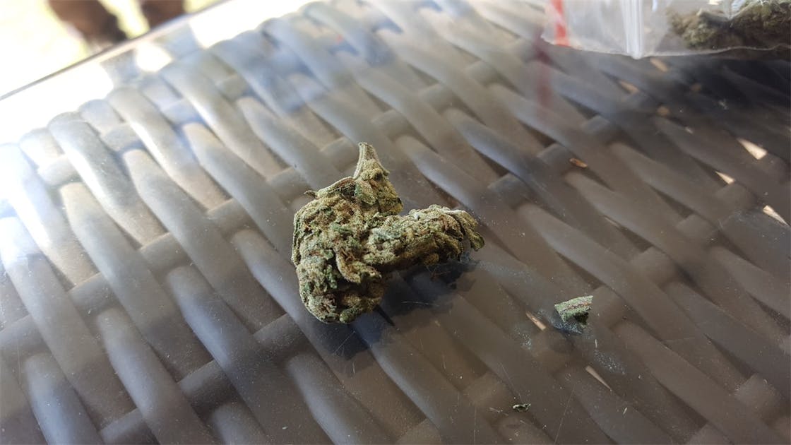 Photos of 13 Dawgs Weed Strain Buds Leafly