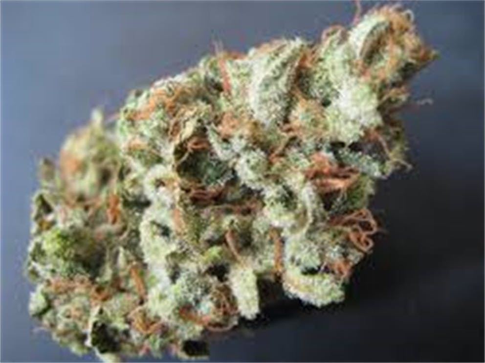 Photos of 13 Dawgs Weed Strain Buds Leafly