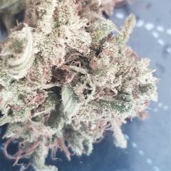 User uploaded image of 24k Gold