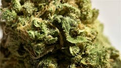 User uploaded image of 24k Gold