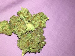 User uploaded image of 303 Kush