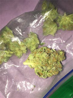 User uploaded image of 303 Kush