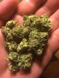 User uploaded image of 303 Kush