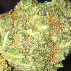 User uploaded image of 303 Kush