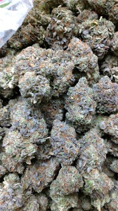 User uploaded image of 3X Crazy