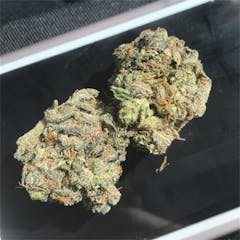 User uploaded image of 3X Crazy