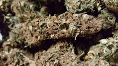 User uploaded image of 3X Crazy