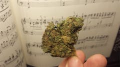 User uploaded image of 501st OG