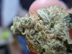 User uploaded image of 5th Element