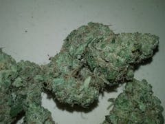 User uploaded image of 5th Element