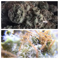 User uploaded image of 8 Ball Kush