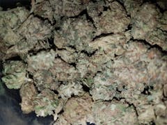 User uploaded image of 818 OG
