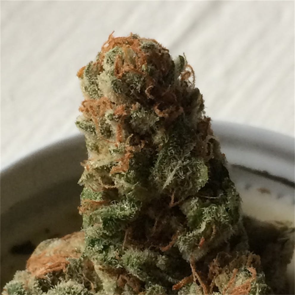 Photos of 9 lb Hammer Weed Strain Buds Leafly