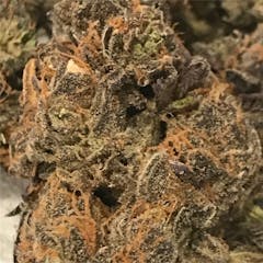 User uploaded image of 9 lb Hammer