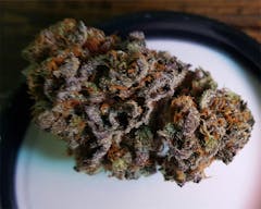 User uploaded image of 9 lb Hammer