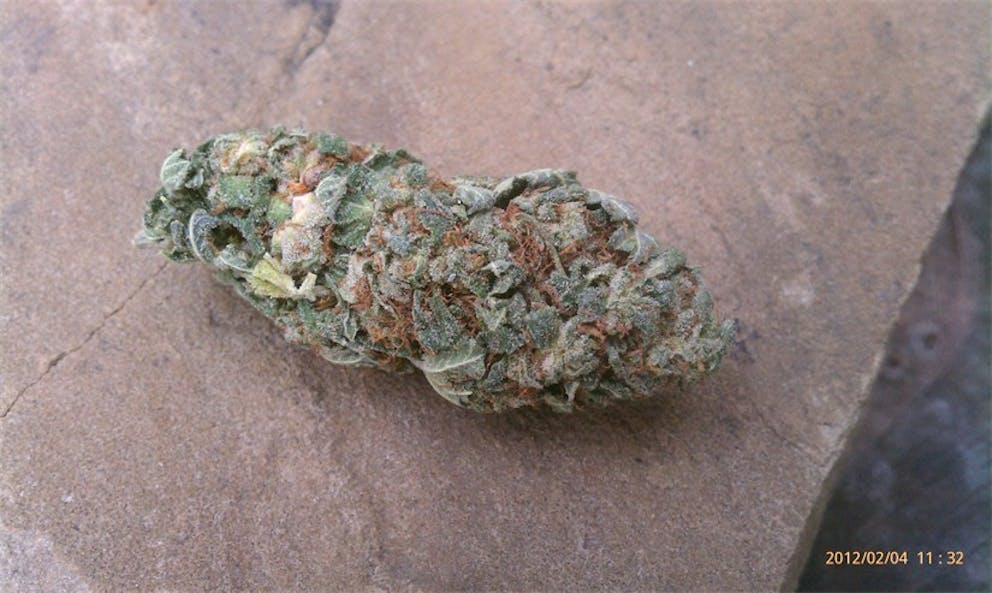 Photos of Allen Wrench Weed Strain Buds Leafly