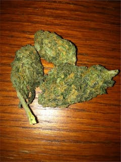 User uploaded image of Arabian Gold