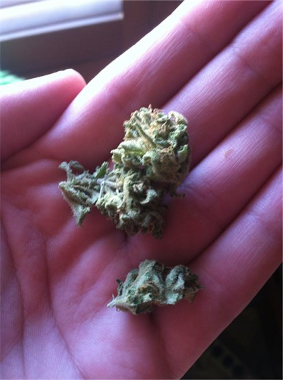 Photos of Banana OG Weed Strain Buds Leafly