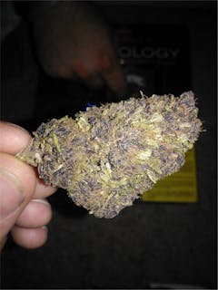 User uploaded image of Black Velvet