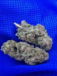 User uploaded image of Blue Bayou