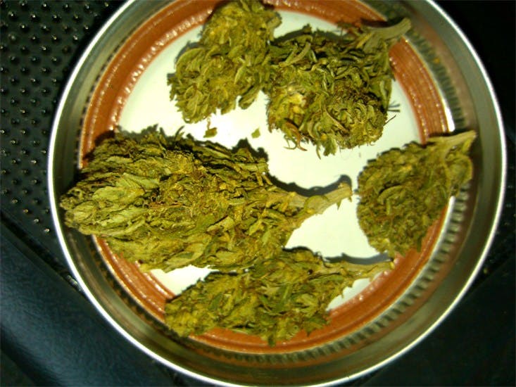 Butterscotch Weed Strain Information Leafly